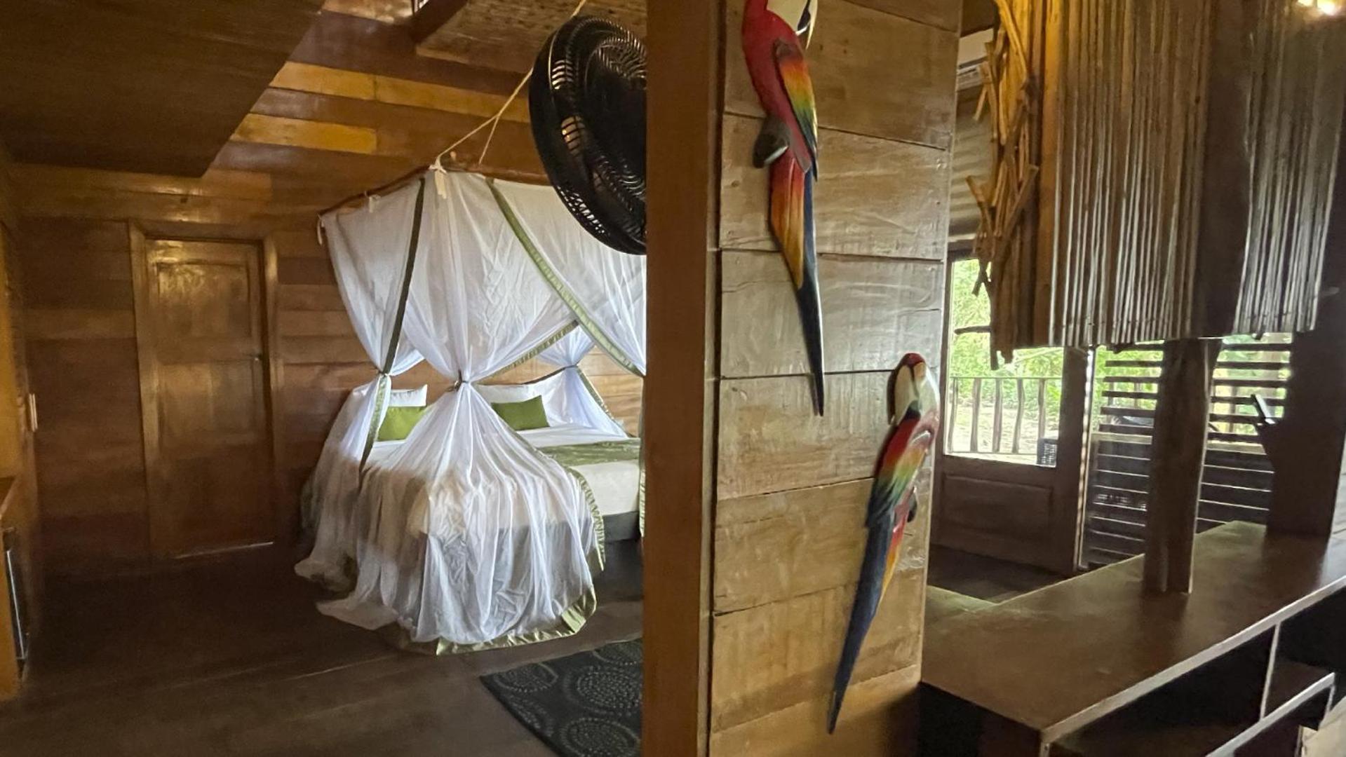 On Vacation Amazon Hotel Летисия Екстериор снимка